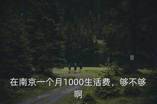 在南京一個月1000生活費，夠不夠啊