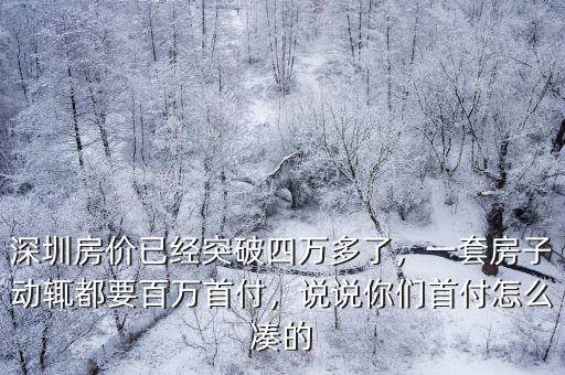 深圳房價(jià)已經(jīng)突破四萬多了，一套房子動輒都要百萬首付，說說你們首付怎么湊的