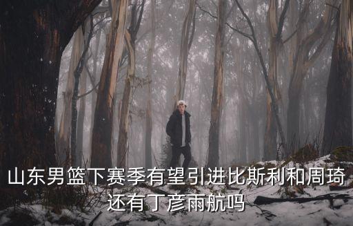 山東男籃下賽季有望引進(jìn)比斯利和周琦還有丁彥雨航嗎