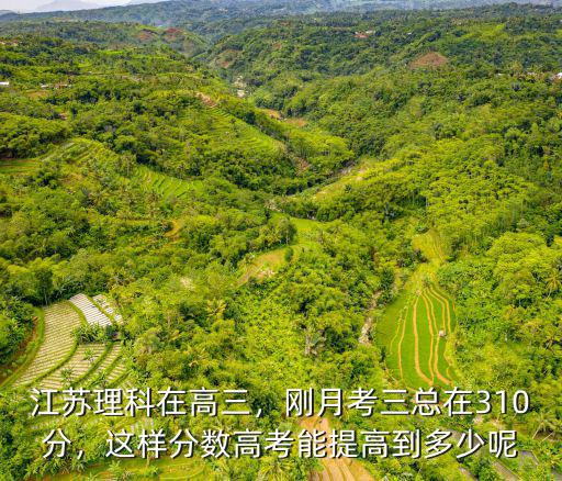 江蘇理科在高三，剛月考三總在310分，這樣分數高考能提高到多少呢