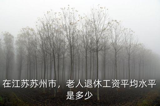 蘇州地區退休工資是多少錢,蘇大強退休工資有5000多