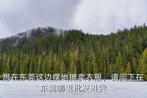 東莞虎門包包批發市場在哪里,請問下在東莞哪里批發進貨