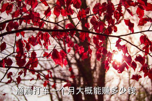 滴滴打車在蘇州一個月能掙多少錢,現(xiàn)在在蘇州跑滴滴收益怎么樣