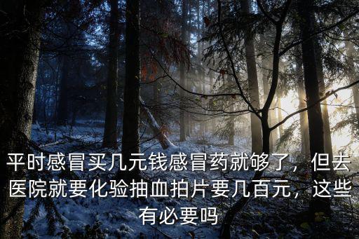 平時感冒買幾元錢感冒藥就夠了，但去醫院就要化驗抽血拍片要幾百元，這些有必要嗎