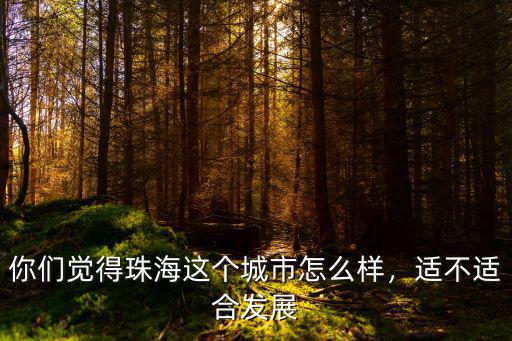 廣州珠海復工怎么樣,你們覺得珠海這個城市怎么樣
