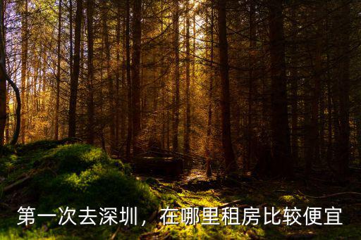 第一次去深圳，在哪里租房比較便宜