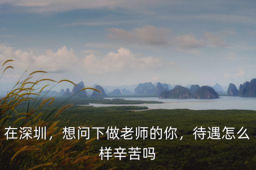 深圳奇網(wǎng)待遇怎么樣,深圳富士康怎么樣