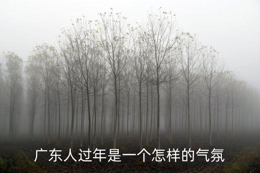 廣州人是怎么過年的圖片,廣州人都是怎么過年的