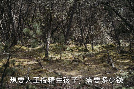 山東人工授精多少錢,人工受孕要多少錢才行