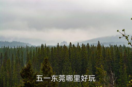 五一東莞哪里有好玩的,五一東莞哪里好玩