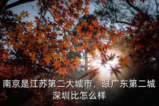 廣東第二大面積城市是哪里,南京是江蘇第二大城市