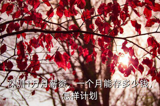 深圳寶安大隊隊長一個月能賺多少錢,一個月能存多少錢