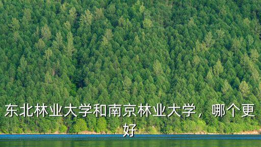 南京林業大學拍B超多少錢,南京林業大學怎么樣