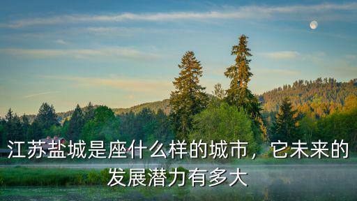 江蘇鹽城是座什么樣的城市，它未來的發展潛力有多大