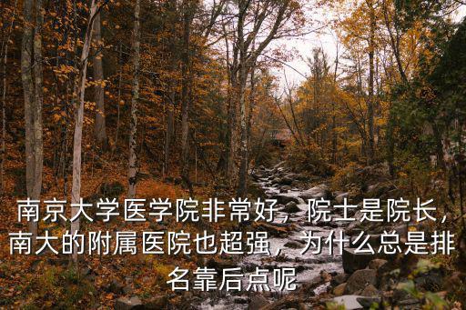 南京大學多少位院士,南京大學的工科實力怎么樣