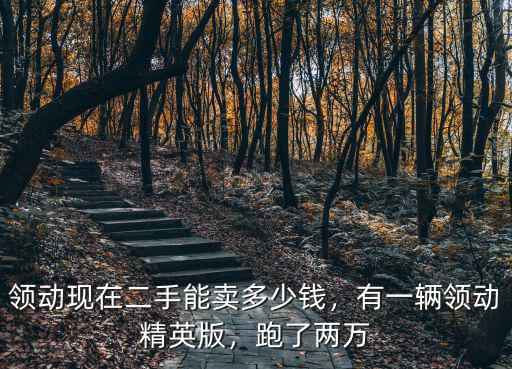 領(lǐng)動(dòng)現(xiàn)在二手能賣多少錢，有一輛領(lǐng)動(dòng)精英版，跑了兩萬