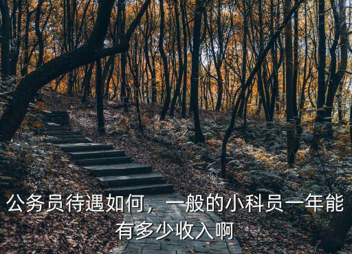 公務(wù)員待遇如何，一般的小科員一年能有多少收入啊