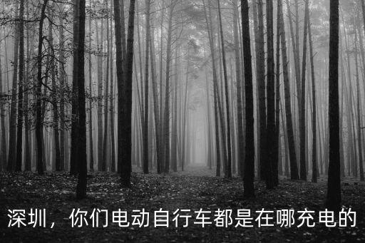 深圳電單車在哪里充電,深圳一小區9樓傍晚起火