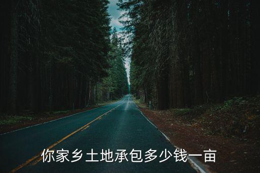 你家鄉土地承包多少錢一畝
