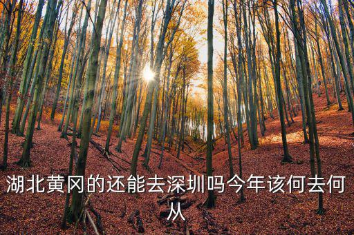 湖北黃岡的還能去深圳嗎今年該何去何從