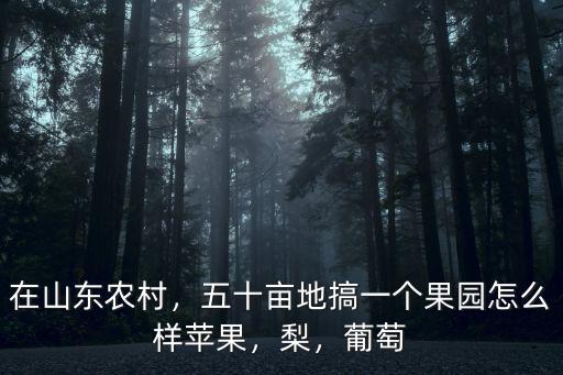 在山東農村，五十畝地搞一個果園怎么樣蘋果，梨，葡萄