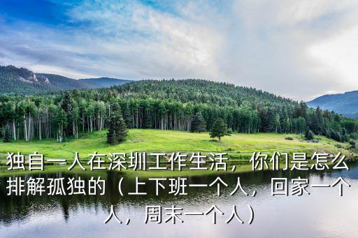 獨自一人在深圳工作生活，你們是怎么排解孤獨的（上下班一個人，回家一個人，周末一個人）
