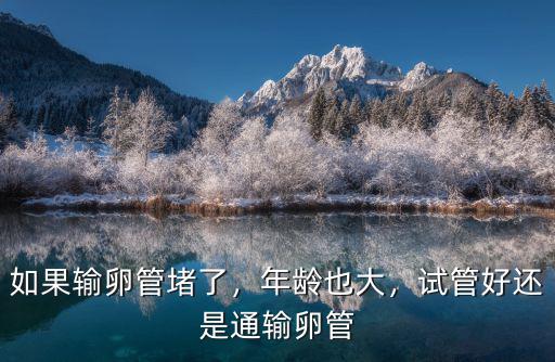 輸卵管堵塞怎么辦選擇廣州新時代a,如果輸卵管堵了