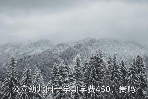 公立幼兒園一學(xué)期學(xué)費(fèi)450，貴嗎