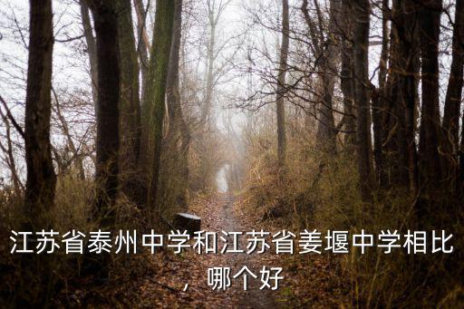 江蘇省泰州中學(xué)和江蘇省姜堰中學(xué)相比，哪個(gè)好