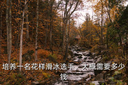 培養(yǎng)一名花樣滑冰選手，大概需要多少錢