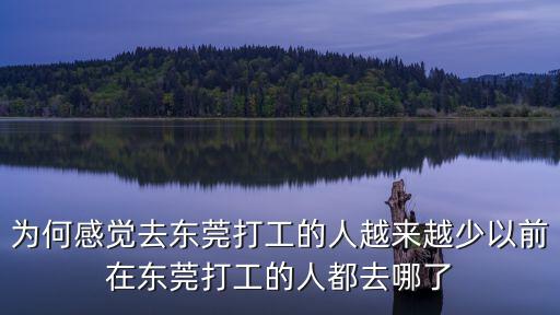 羅兆輝東莞哪里人,以前在東莞打工的人都去哪了
