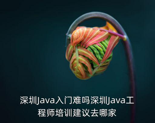 深圳Java入門難嗎深圳Java工程師培訓建議去哪家