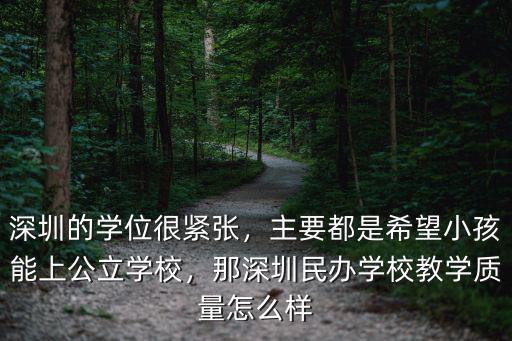 深圳的學位很緊張，主要都是希望小孩能上公立學校，那深圳民辦學校教學質量怎么樣
