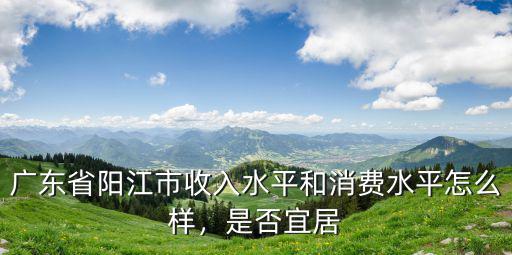廣東省陽江市收入水平和消費水平怎么樣，是否宜居