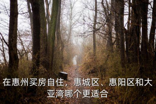 惠州大亞灣哪里買跑步機,在惠州買房自住