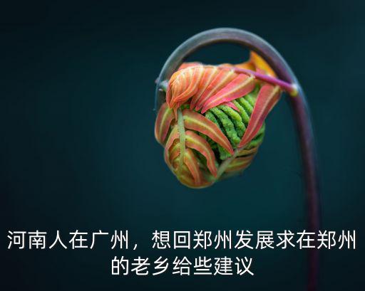 在廣東的河南人有多少,河南人在廣東多嗎