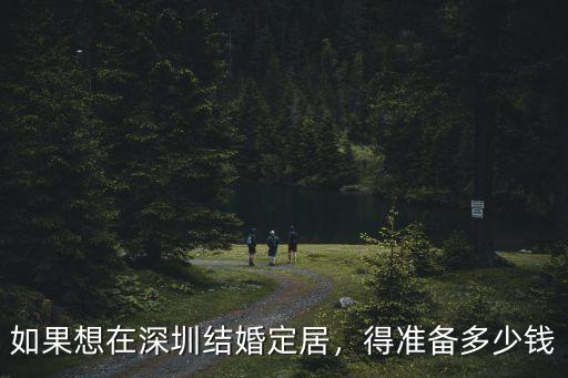 深圳牌照拍多少錢,深圳車牌過戶值多少錢