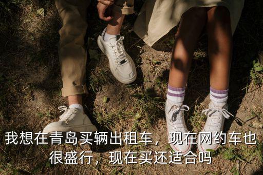 青島出租車分子錢多少,我想在青島買輛出租車