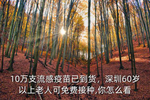 10萬支流感疫苗已到貨，深圳60歲以上老人可免費接種,你怎么看