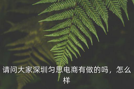 請(qǐng)問(wèn)大家深圳勻思電商有做的嗎，怎么樣