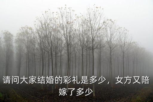 連云港女方陪嫁多少嫁妝,各地女方出嫁陪嫁多少