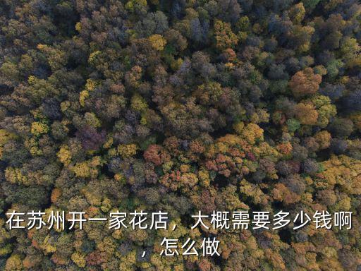 蘇州店面租金要多少錢一個月多少錢一個月,在蘇州開一家花店