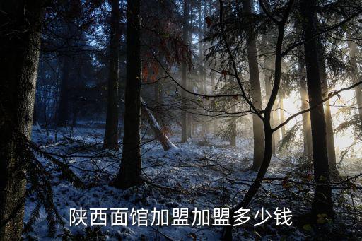 威海陜西面館加盟多少錢,陜西面館加盟加盟多少錢