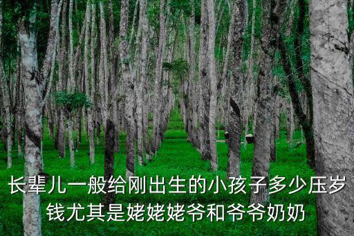 臨沂生孩子爺爺奶奶給多少錢,安徽這邊生孩子做滿月酒