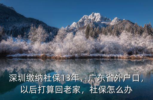 深圳繳納社保13年，廣東省外戶(hù)口，以后打算回老家，社保怎么辦