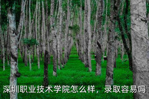 深圳正中科技怎么樣,深圳富士康怎么樣