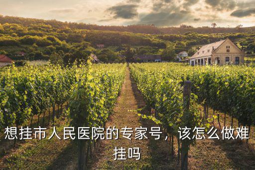 想掛市人民醫院的專家號，該怎么做難掛嗎