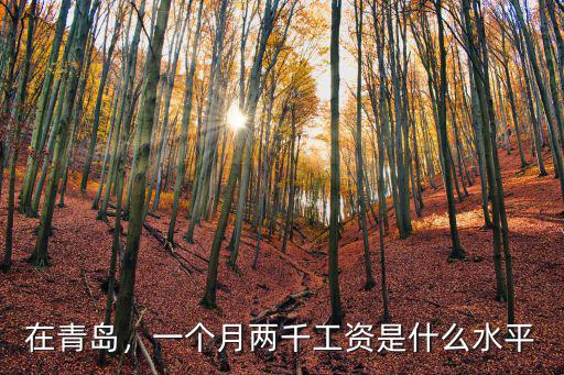 在青島，一個月兩千工資是什么水平
