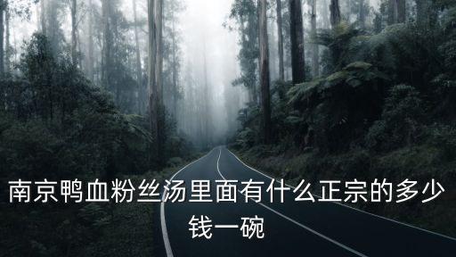 南京鴨血粉絲湯要多少錢,您吃過南京鴨血粉絲湯嗎