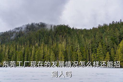 東莞市工廠怎么樣,世界工廠東莞